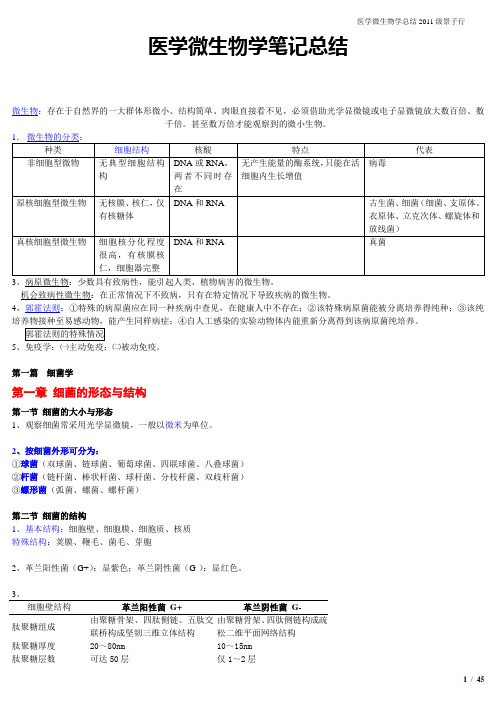 医学微生物学笔记总结