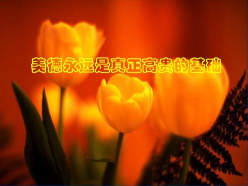 品德——立身之本