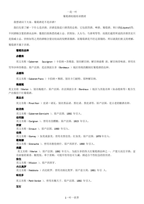 葡萄酒初级课程