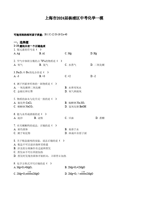 上海市2024届杨浦区中考化学一模