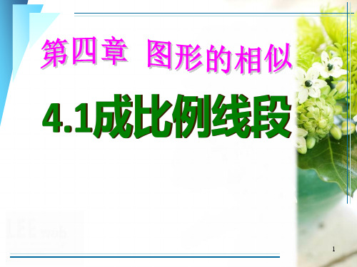 4.1 成比例线段 第一课时
