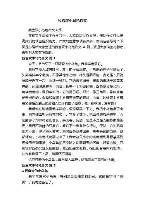 我喜欢小乌龟作文4篇