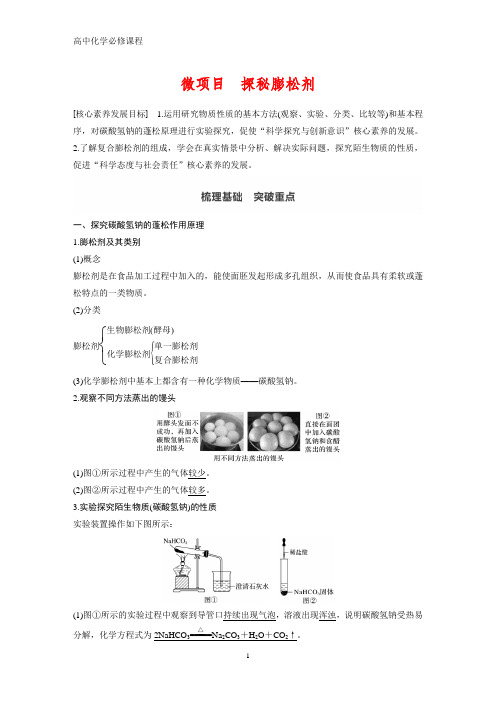 高中化学必修1：微项目 探秘膨松剂