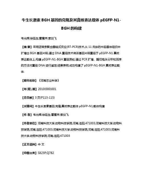 牛生长激素BGH基因的克隆及其真核表达载体pEGFP-N1-BGH的构建