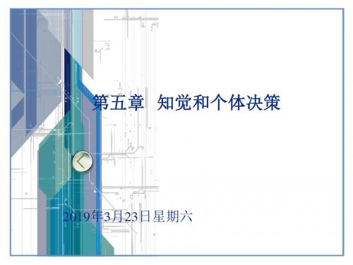 罗宾斯第五章知觉和个体决策