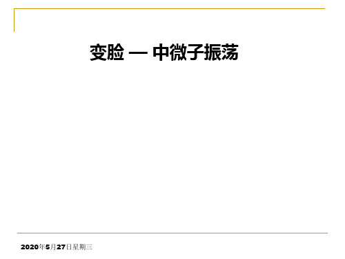 变脸中微子振荡