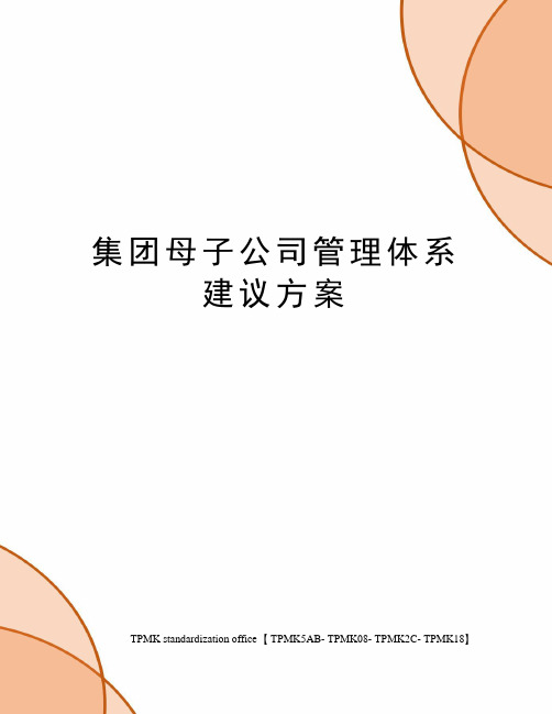集团母子公司管理体系建议方案