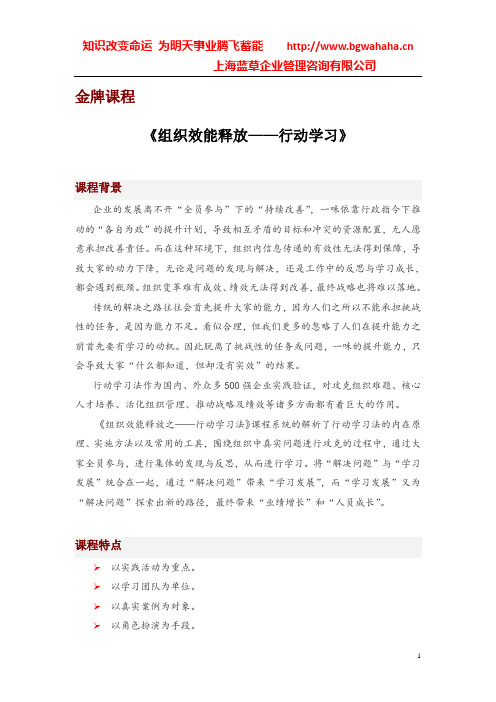 《组织效能释放——行动学习》
