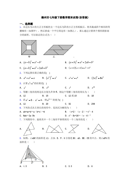 柳州市七年级下册数学期末试卷(含答案)