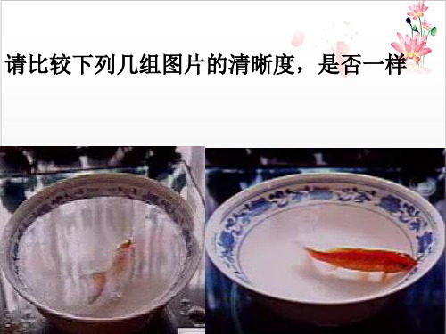 人教版光的偏振精讲课件PPT