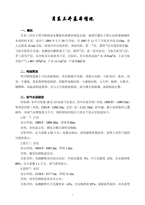 月东三井基本情况