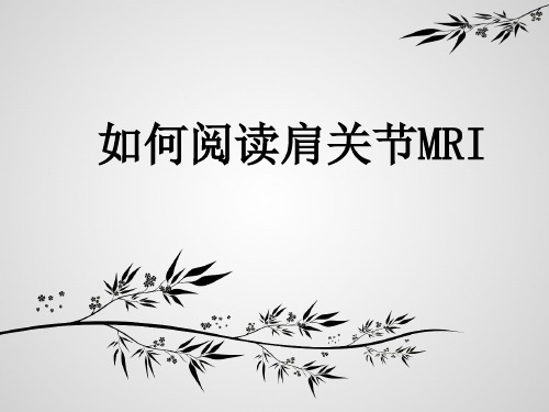 如何阅读肩关节MRI