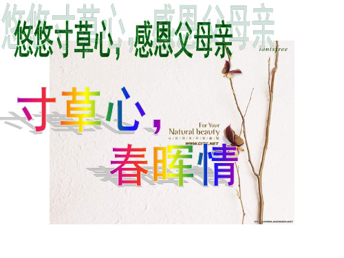 初中班会寸草心春晖情  班会课件