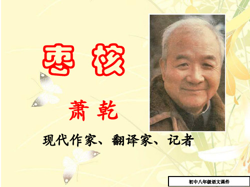 八年级语文：《枣核》ppt课件(20页)