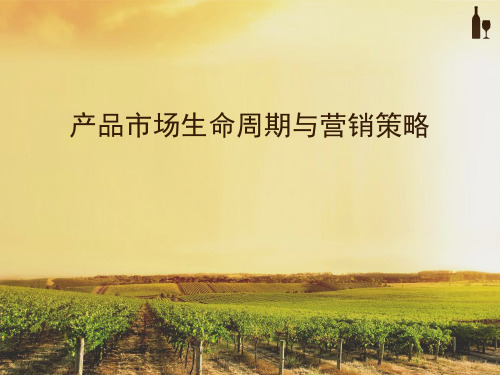 产品市场生命周期与营销策略