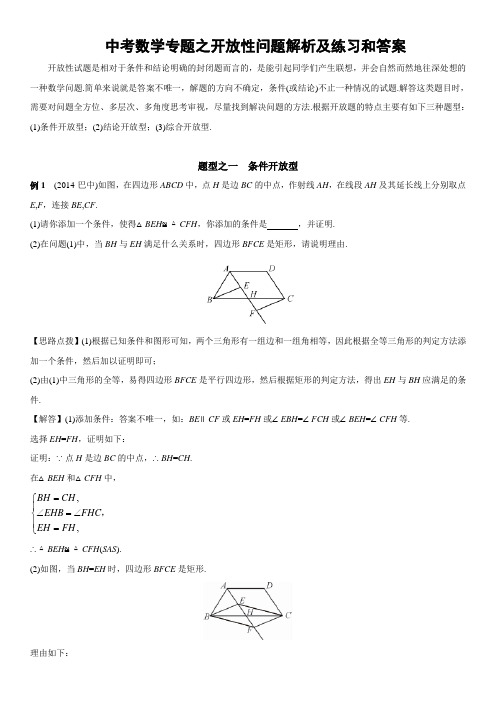 中考数学专题之开放性问题解析及练习和答案