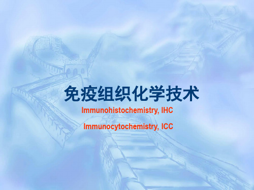 免疫组织化学技术