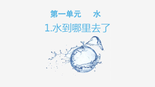 《水到哪里去了》PPT课件