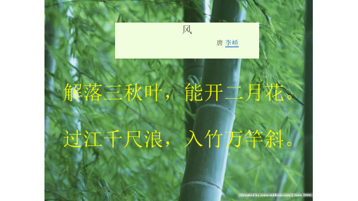 风 --ppt课件