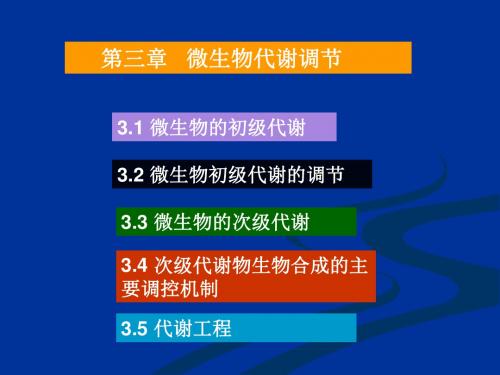 3微生物代谢调节