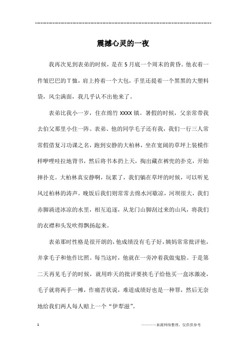 震撼心灵的一夜_初一作文