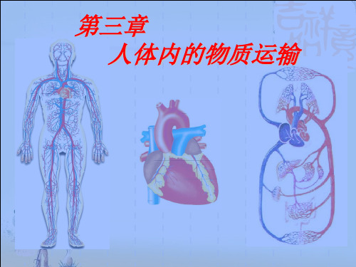 【一线精品】  人体内的物质运输   最新优秀公开PPT课件