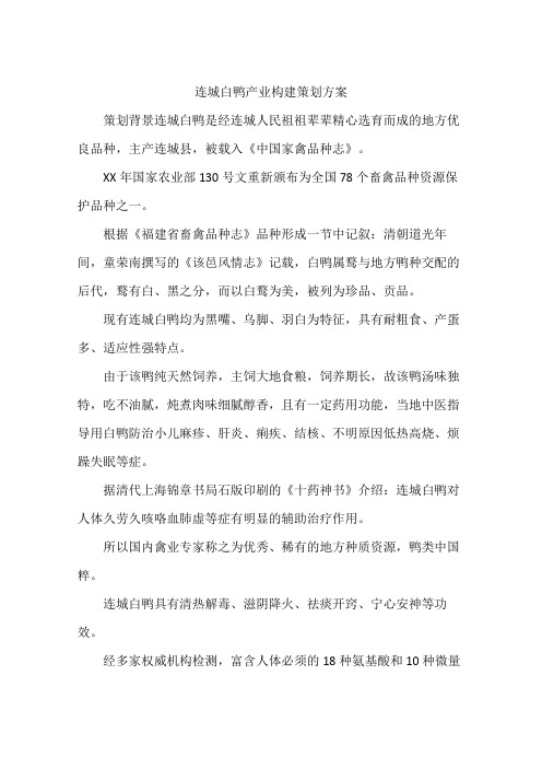 连城白鸭产业构建策划方案