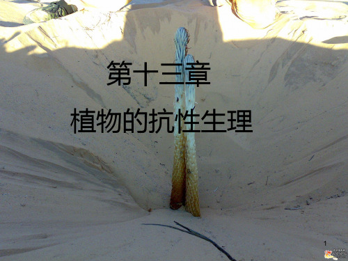 第十二章 植物的抗性生理PPT课件