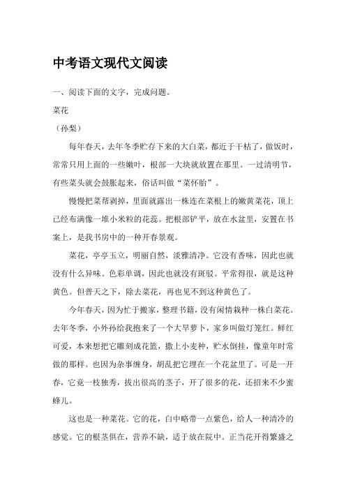 中考语文现代文阅读(1)
