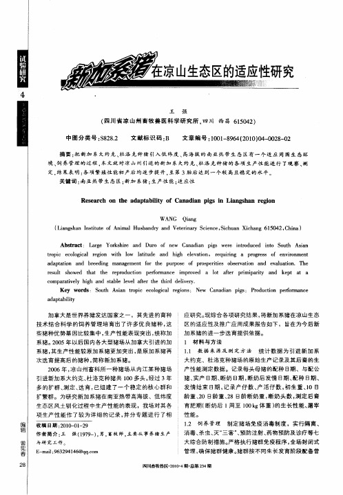 新加系猪在凉山生态区的适应性研究