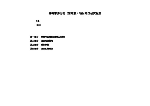 樟树市步行街(暂定名)项目定位研究报告2.doc