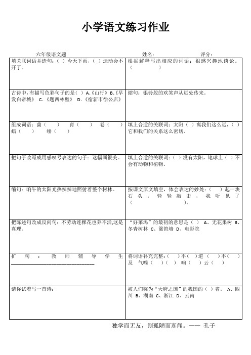 小学语文精作细练习题I (28)