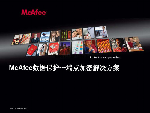 McAfee数据保护---端点加密解决方案