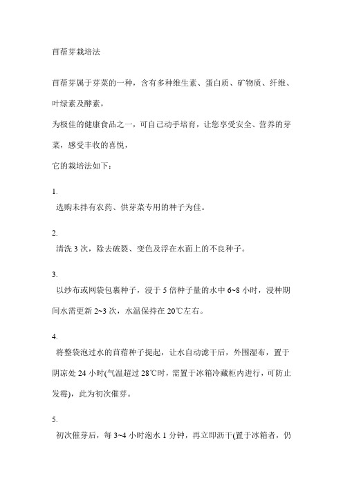 苜蓿芽栽培法