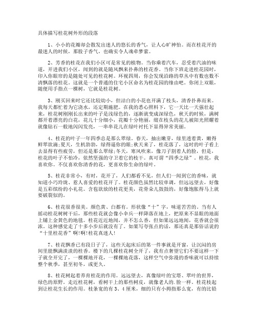 具体描写桂花树外形的段落