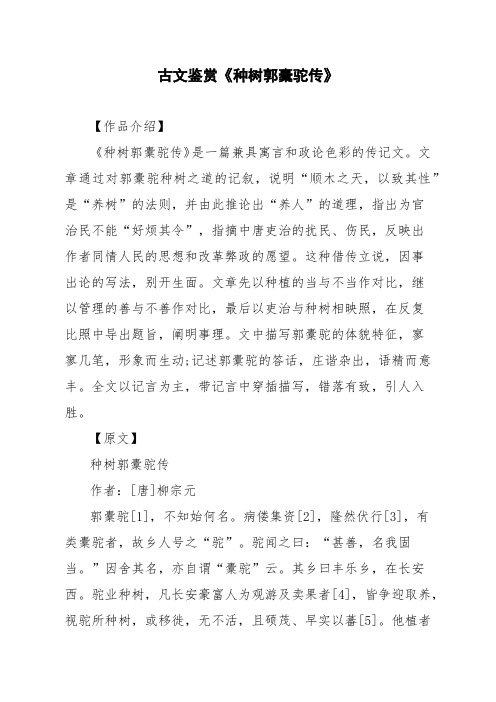 文言文古文鉴赏《种树郭橐驼传》