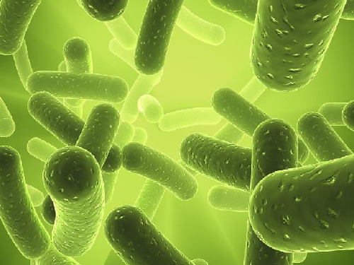人教版生物必修一《细胞的增殖》教学课件