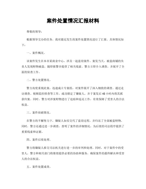 案件处置情况汇报材料