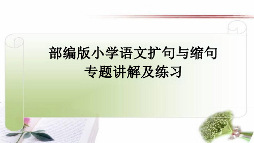 部编版小学语文扩句与缩句专题讲解及练习课件