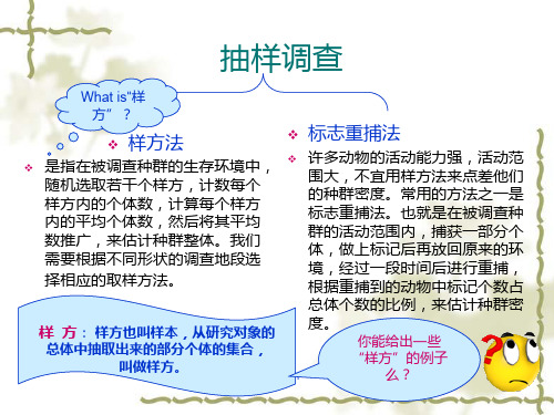 用样方法调查草地中某种双子叶植物的种群密度教学ppt课件