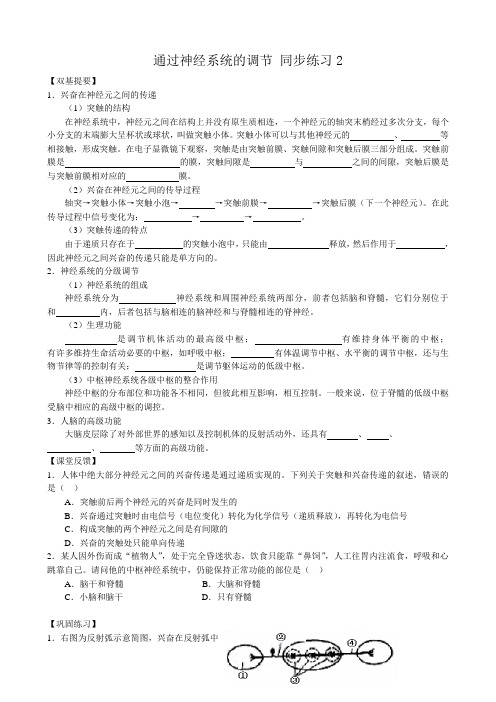 高中生物通过神经系统的调节 同步练习2新课标 人教版 必修3