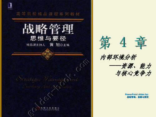 内部环境分析29650ppt课件