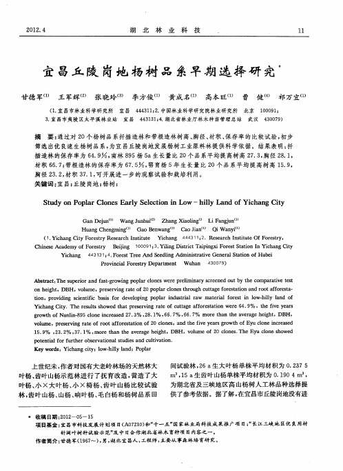 宜昌丘陵岗地杨树品系早期选择研究