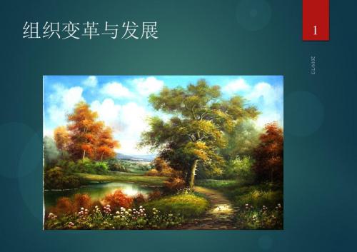 组织与变革公开课PPT