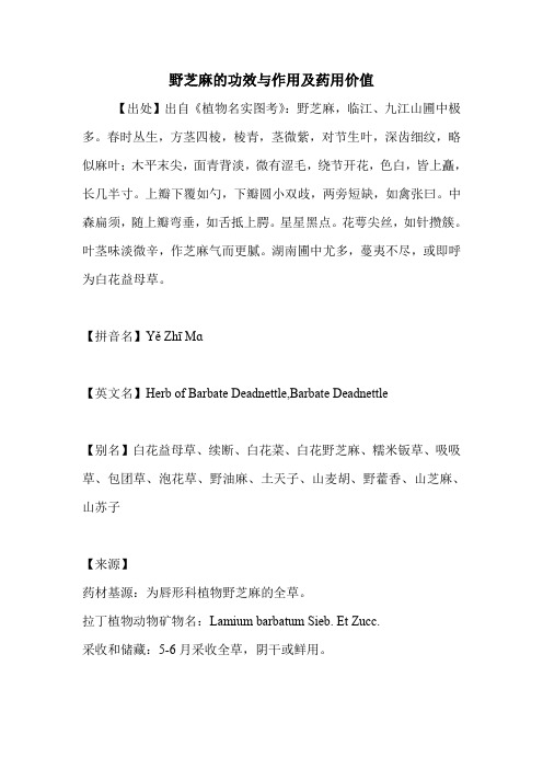野芝麻的功效与作用及药用价值