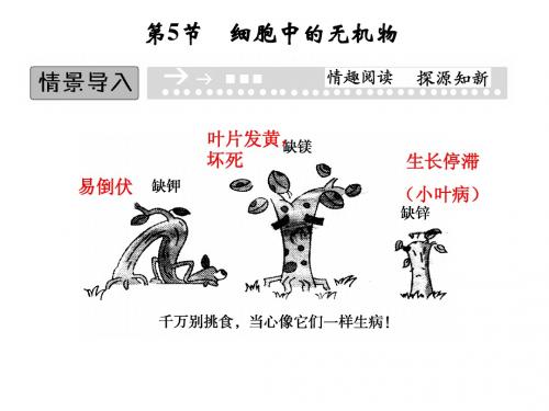 细胞中的无机物高中生物必修一PPT