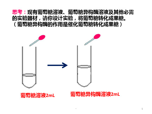 酵母细胞固定化PPT课件