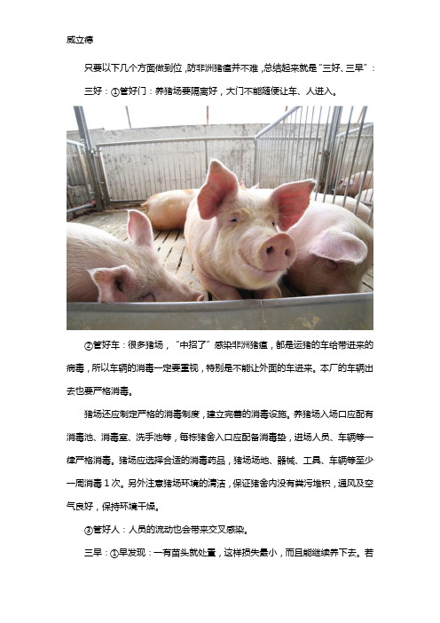 养猪场如何预防非洲猪瘟