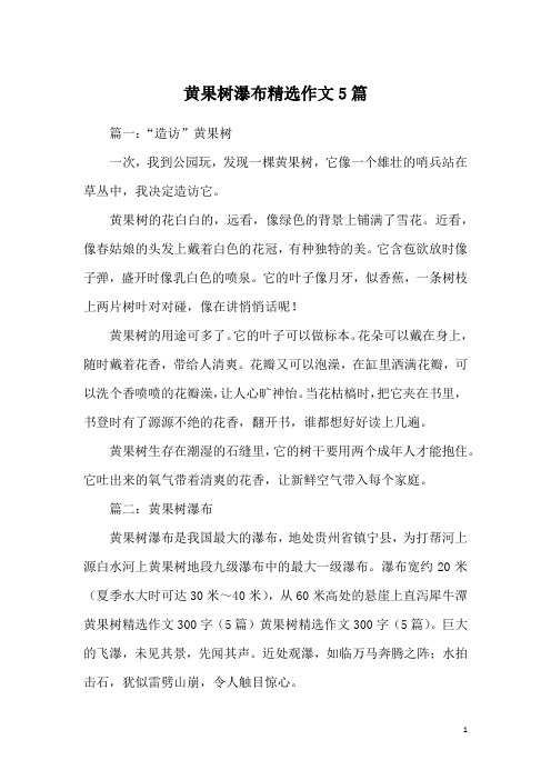 黄果树瀑布精选作文5篇