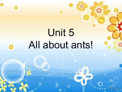青少版新概念2A_unit5(共23页)